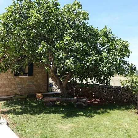Apartamento In Zadar With Balcony, Air Conditioning, Wifi, Washing Machine 3796-6