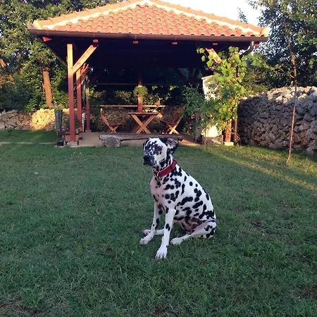 In Zadar With Balcony, Air Conditioning, Wifi, Washing Machine 3796-6 * Zaton (Zadar)